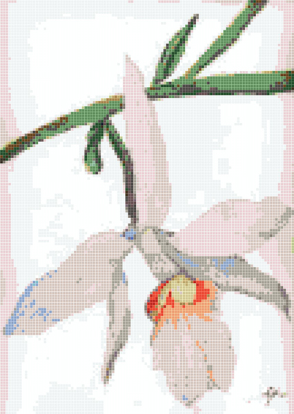 orquidea2_mosaic_120x167